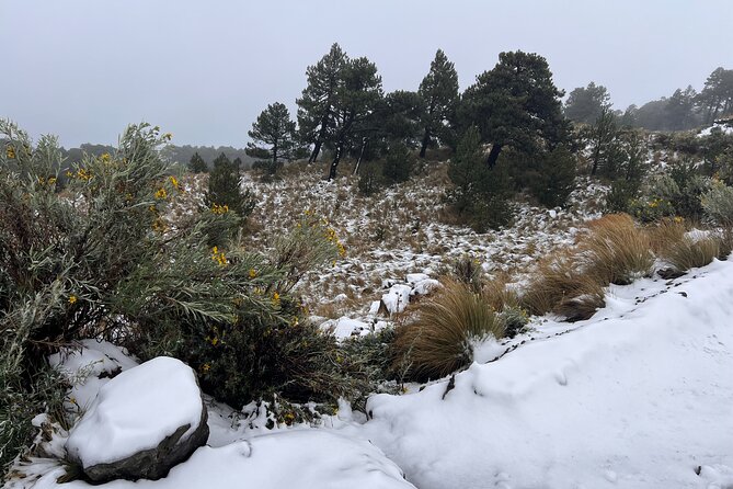 3 Hour Private Hike: Mountain Nevado Toluca from Mexico City - Private Guide Benefits: Pace, English, and Better Decision-Making