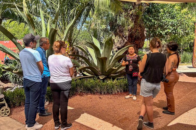 Balloon Flight with Teotihuacan & Guadalupe Shrine Full day Tour - Price and value: does $159 make sense for your style of travel?