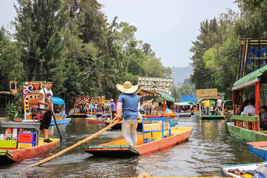 CDMX: Xochimilco, Coyoacan, Frida Kahlo Museum & Murals Tour - UNAM murals and the Central Library: Rivera’s art in context