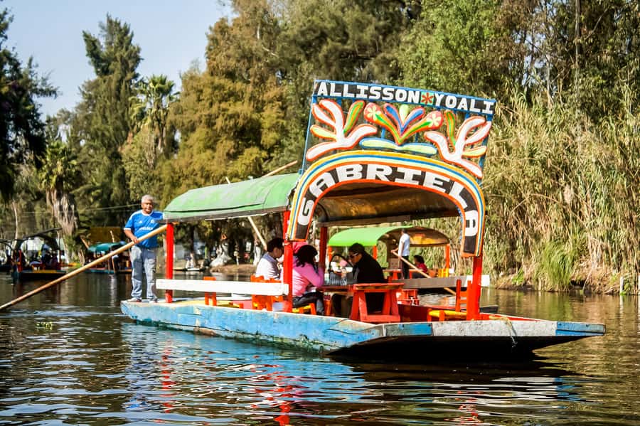 CDMX: Xochimilco, Coyoacan, Frida Kahlo Museum & Murals Tour - Practical tips to make this day more comfortable (and less rushed)