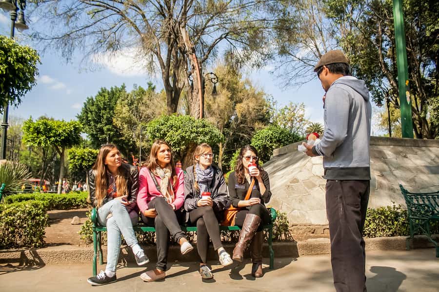 CDMX: Xochimilco, Coyoacan, Frida Kahlo Museum & Murals Tour - Who should book this tour, and who might not
