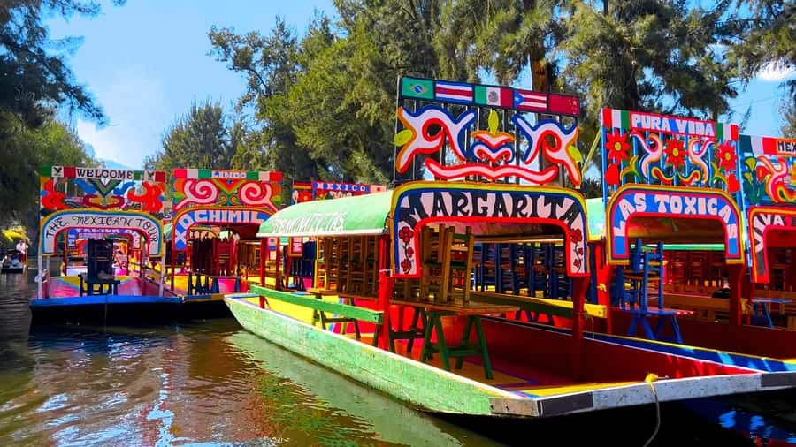 CDMX: Xochimilco Trajinera Party, Drinks, Mariachi & Tacos - The taco dinner: the payoff after the float
