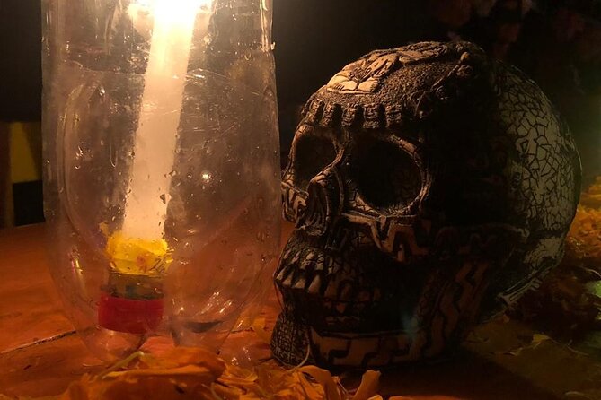 Day of the Dead Tour in Mexico City - Xochimilco by trajinera: mariachi, chinampas, and night visibility