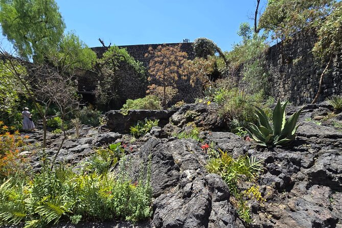 EXCLUSIVE TOUR Luis Barragán Casa Pedregal - small groups - Price and value: is $116.50 for 1–2 hours fair?