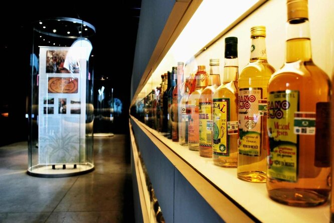 EXCLUSIVE TOUR Tequila & Mezcal - small groups - Key highlights before you go