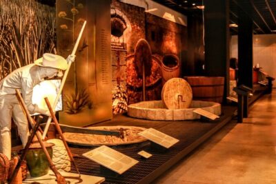 EXCLUSIVE TOUR Tequila & Mezcal - small groups - What you actually see at the museum (and what it teaches you)