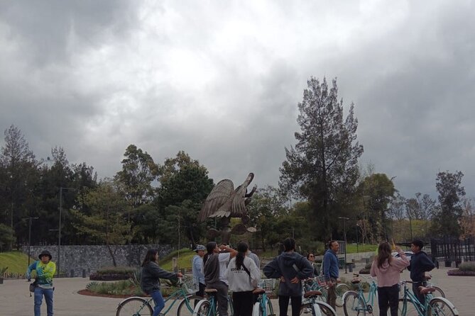 Explore Chapultepec & Mexico City sights by Bike - Bicycles, helmets, and how guides manage CDMX traffic