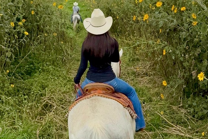 Horseback, Culture & Mexican Flavors Experience - Key Highlights You’ll Care About