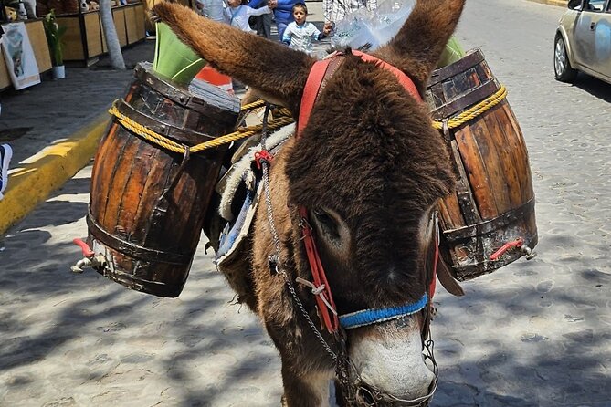 Horseback, Culture & Mexican Flavors Experience - Why Tepetlaoxtoc Feels Worlds Away From CDMX