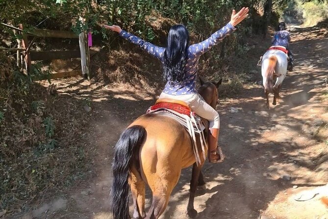 Horseback, Culture & Mexican Flavors Experience - What You Learn About Horse Breeds After the Ride