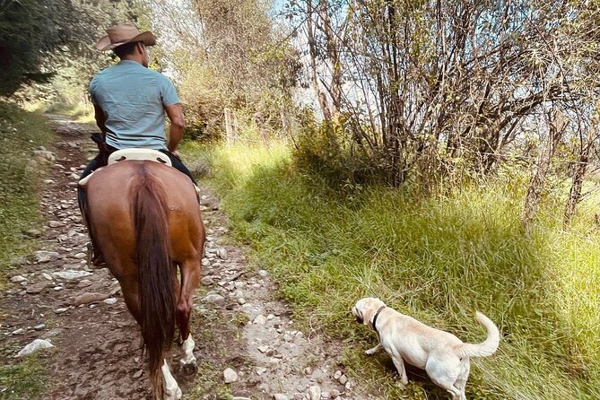 Horseback, Culture & Mexican Flavors Experience - What This Tour Is Like Day to Day (So You Know If It Fits)