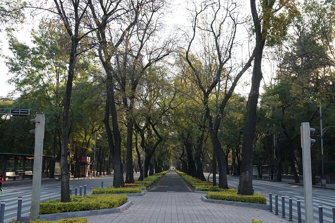 Mexico City: 19 City Highlights Bicycle Tour - Estela de Luz: a modern monument that frames Mexico City’s story