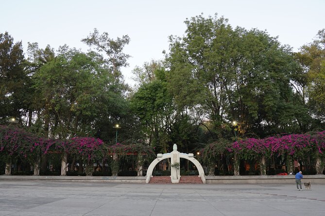 Mexico City: 19 City Highlights Bicycle Tour - Chapultepec Park and Chapultepec Castle: riding up to the city’s big historic hill