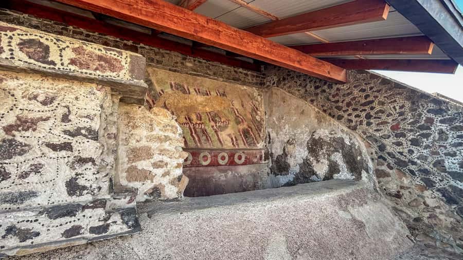Mexico City: Afternoon Tour to Teotihuacan - Who this afternoon Teotihuacan tour fits best