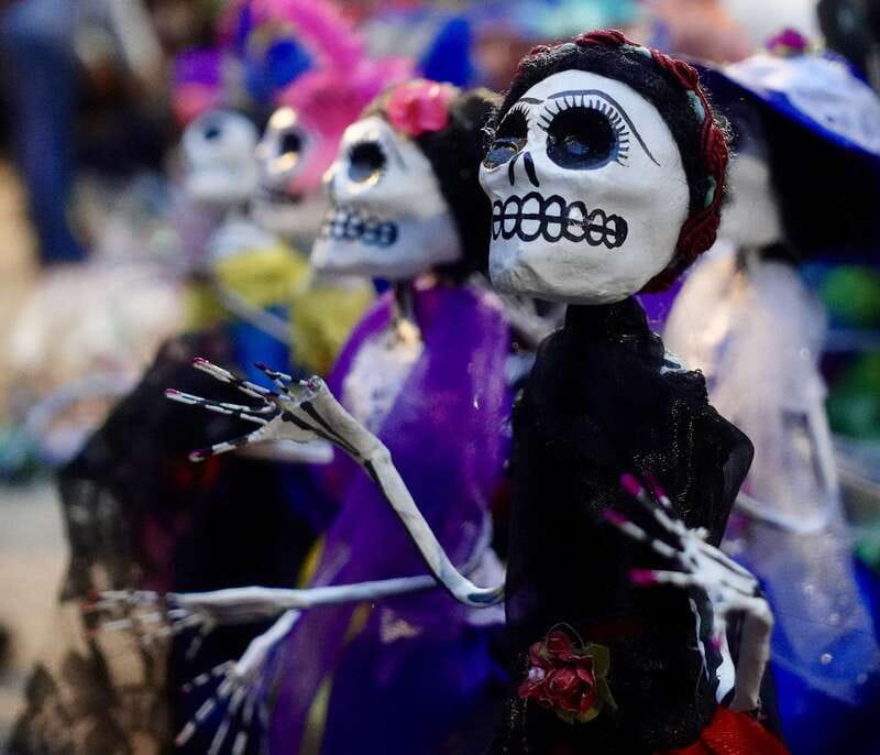 Mexico City: Day of the Dead Guided Tour - What to bring for November 1 night weather and crowds