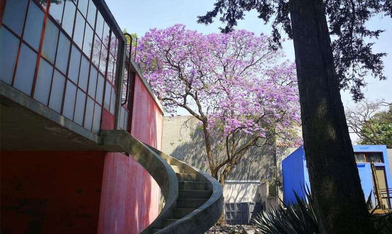Mexico City: Frida Kahlo-Diego Rivera Studio House Tour - Key things to know before you go