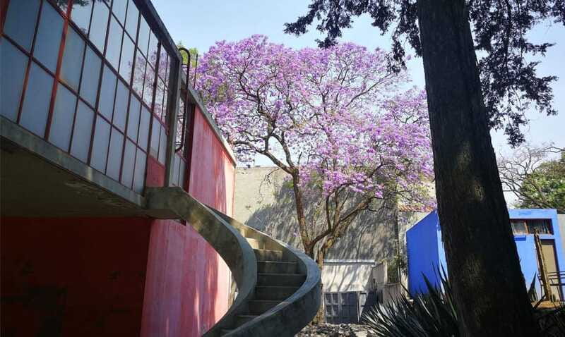 Mexico City: Frida Kahlo-Diego Rivera Studio House Tour - Price at about $40: when it’s a good deal