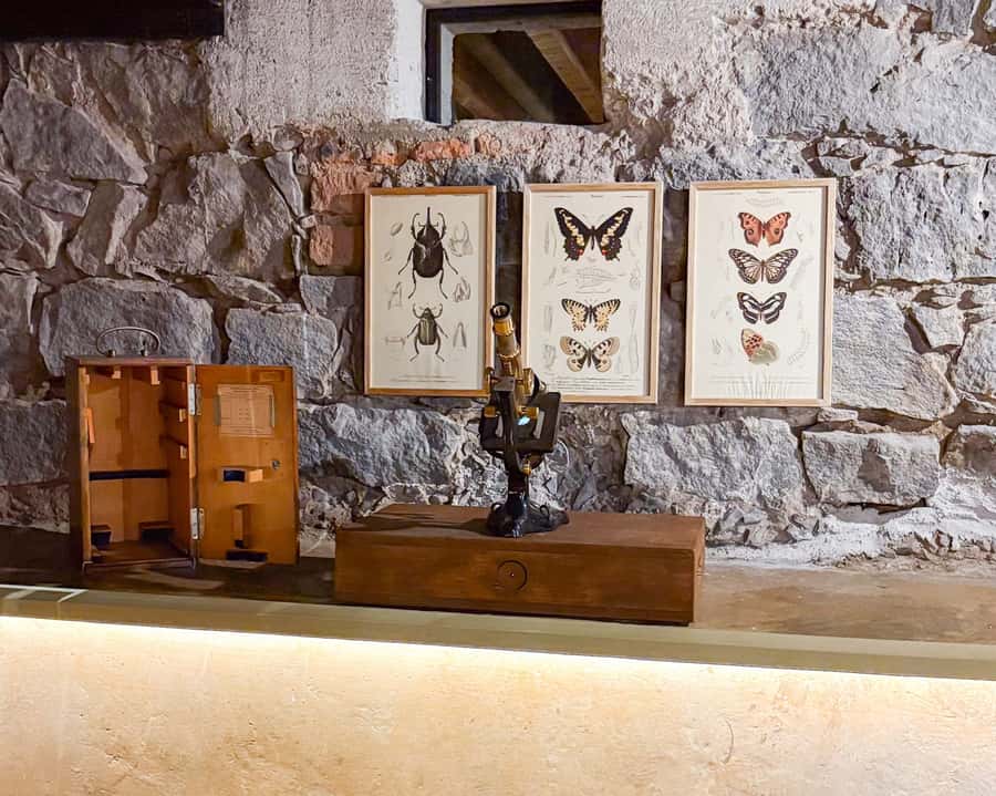 Mexico City: Frida Kahlo Museum Entry Ticket w/Digital Guide - What the digital guide actually does for you