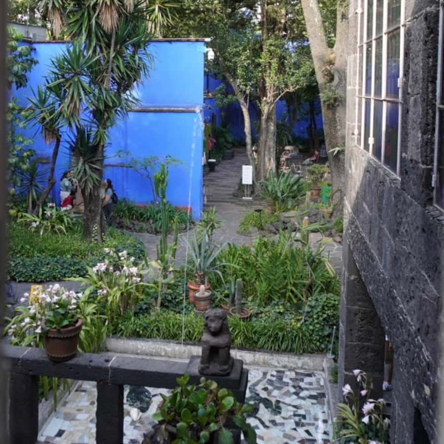 Mexico City: Frida Kahlo Museum Tour - Guided orientation inside the Blue House (and why it’s worth paying for)