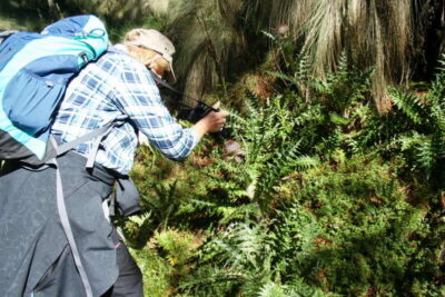 Mexico City: Guided Volcano Trek with Lunch - Paso de Cortés: starting in the volcano foothills