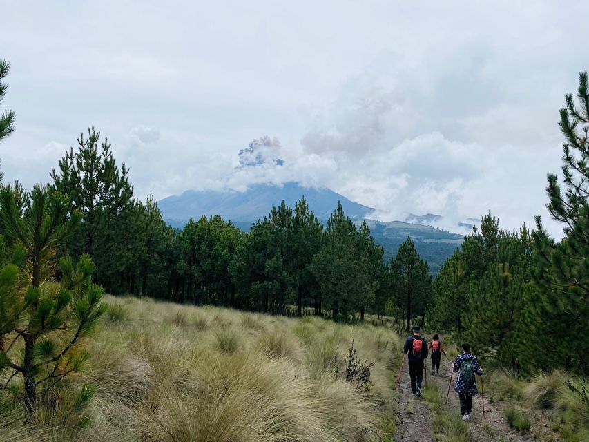 Mexico City: Guided Volcano Trek with Lunch - Amalacaxco Ravine: where the walk gets personal