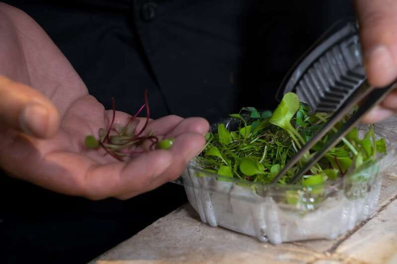 Mexico City: Mexican Cooking Class - Quick Practical Tips So Your Class Goes Smoothly