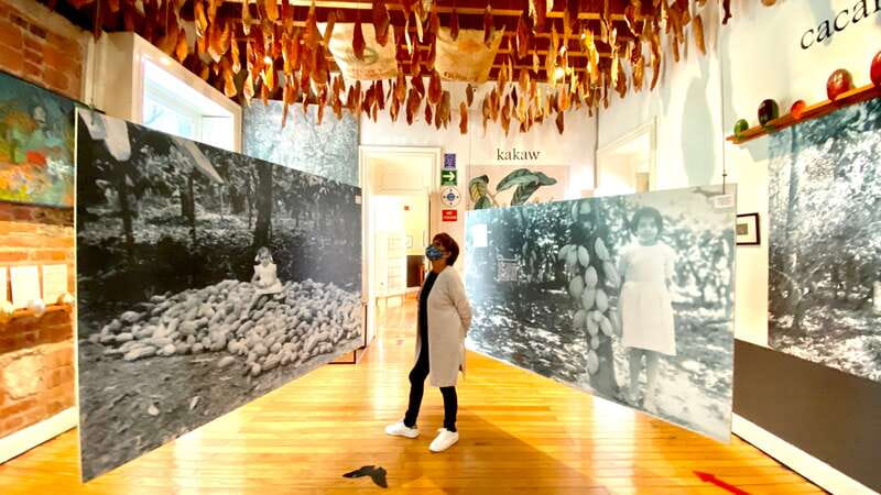 Mexico City: MUCHO Museum of Chocolate Entrance Ticket - How the museum visit works with your entrance ticket