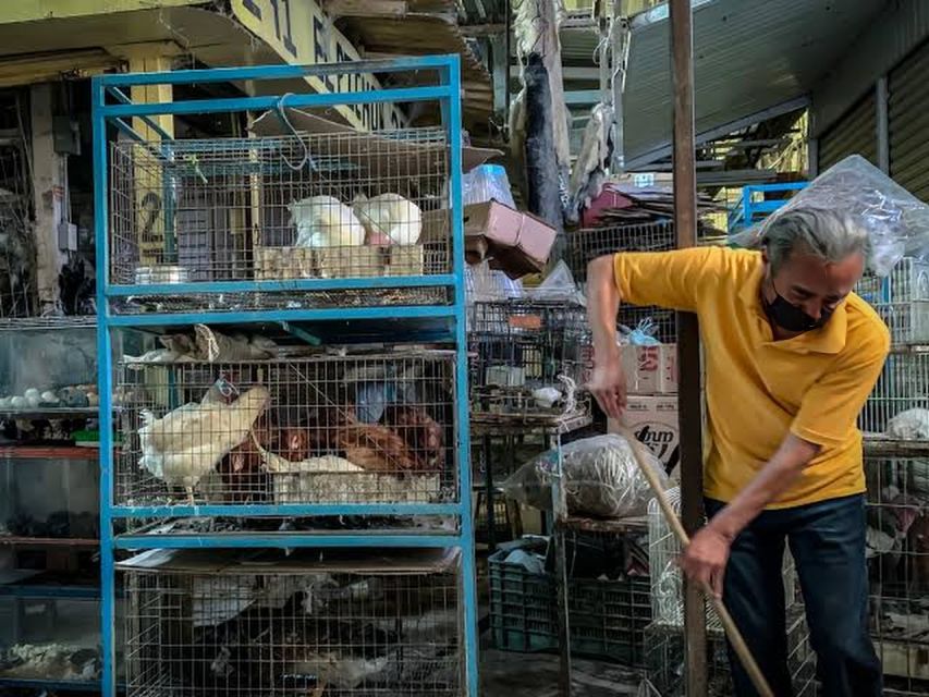 Mexico City: Mystic Markets La Merced & Sonora Culinary Tour - How the guide makes the markets feel doable (and safe)