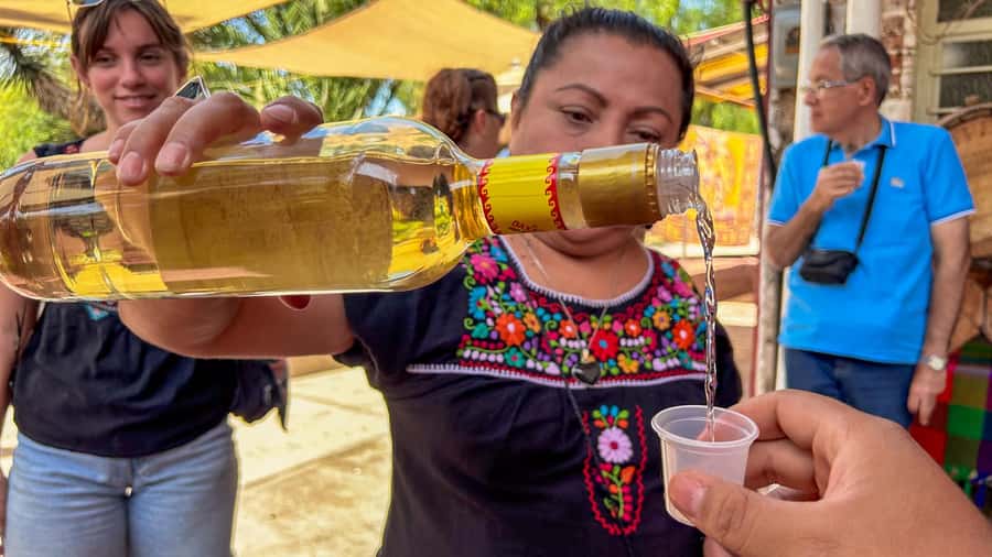 Mexico City: Teotihuacan, Tlatelolco & Guadalupe Shrine Tour - Should you book this Teotihuacan, Tlatelolco & Guadalupe tour?