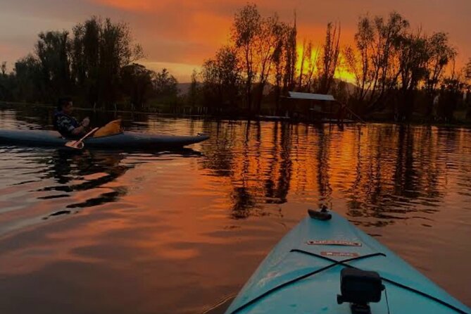 Mexico City: Xochimilco at sunrise + Breakfast and transportation - The jetty briefing at dawn: what to listen for