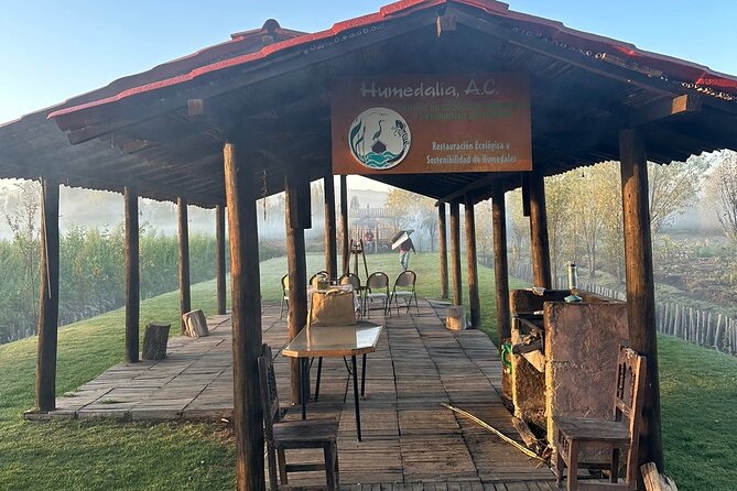 Mexico City: Xochimilco at sunrise + Breakfast and transportation - Kayuko ride through the canals: sunrise, birds, and volcano views