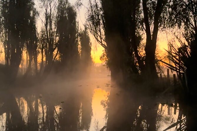 Mexico City: Xochimilco at sunrise + Breakfast and transportation - Reaching the chinampa: arriving at living agriculture