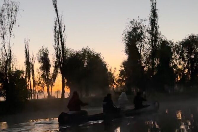 Mexico City: Xochimilco at sunrise + Breakfast and transportation - Planting your own to support sustainability