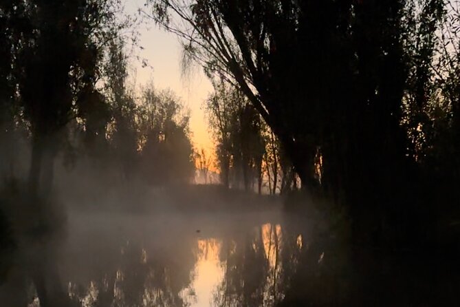 Mexico City: Xochimilco at sunrise + Breakfast and transportation - The return sail: seeing Xochimilco with light