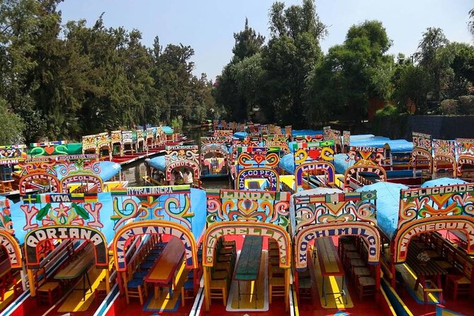 Private/Shared Tour Xochimilco Coyoacán optional Frida Kahlo - Key Highlights to Know Before You Go