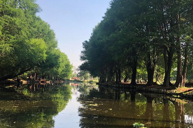 Private Tour: Xochimilco, Coyoacan and Frida Kahlo Museum - Casa Azul (Frida Kahlo Museum): What You’re Really Paying For
