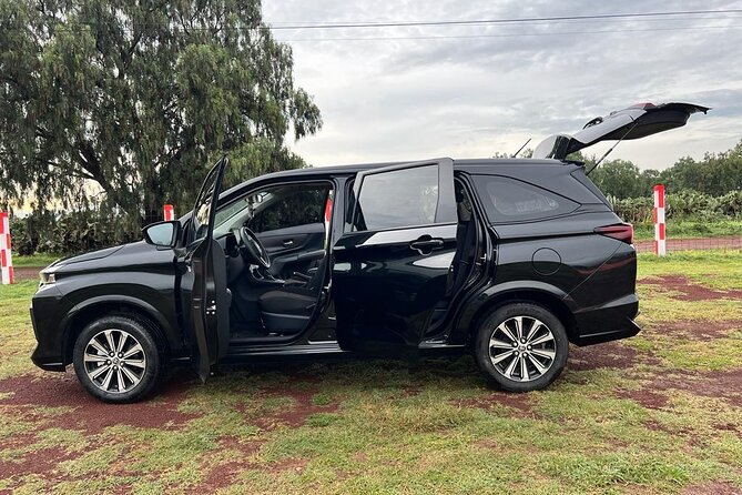 Private Transportation to Teotihuacan from CDMX - Ticketing and meeting points: what you handle vs what the driver supports