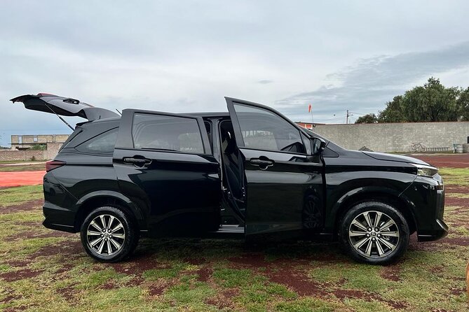 Private Transportation to Teotihuacan from CDMX - Who should book this (and who might not need it)
