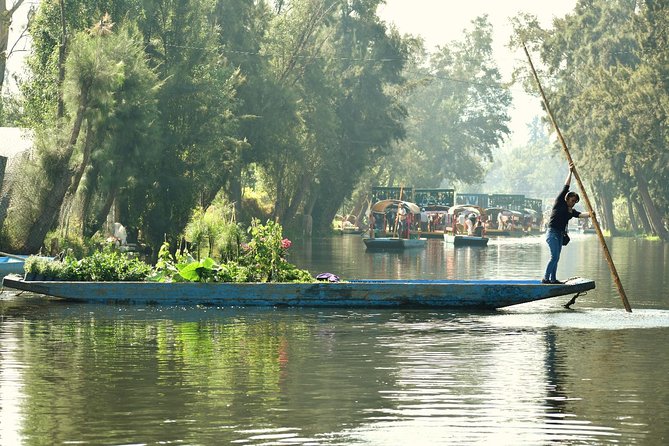 Small Group: Discover Xochimilco, Coyoacán, Frida Kahlo Museum and House - Coyoacán walking: San Bautista and the charm between the main stops