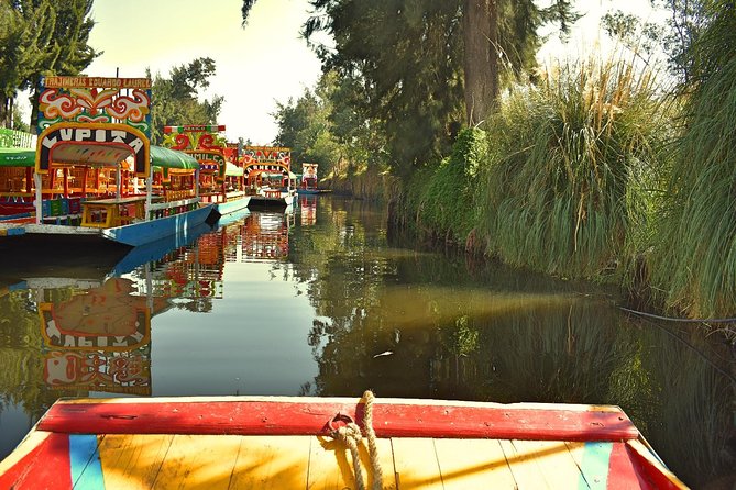 Small Group: Discover Xochimilco, Coyoacán, Frida Kahlo Museum and House - So, should you book this one?