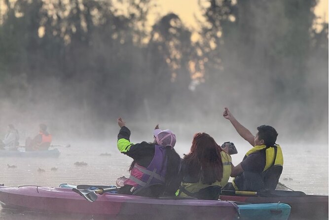 Sunrise Kayak Tour in Xochimilco - Price and value: is $28.68 a good deal?