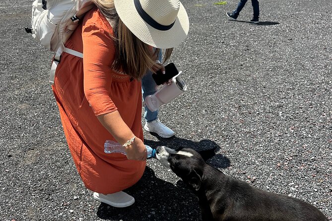 Teotihuacan Sunrise Tour from Mexico City - Hermes and the Human Touch: Why the Guide Changes Everything