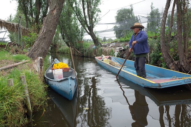 The City Green Exploring the Urban Eco Reserve of Xochimilco - Xochimilco without the party-boat vibe