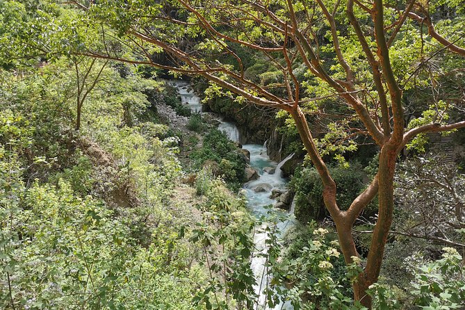 Travel to Tolantongo: Transportation and tickets - Hanging Bridges and Canyon Walkways: the scenic pause you shouldn’t skip