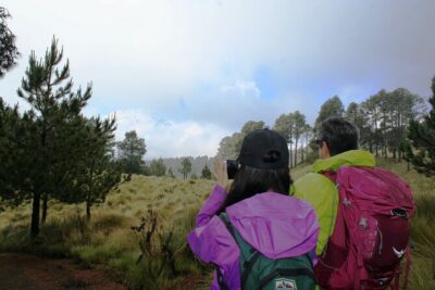 Trekking Through The Volcanoes - Choosing your route: where Paso de Cortés starts doing the heavy lifting