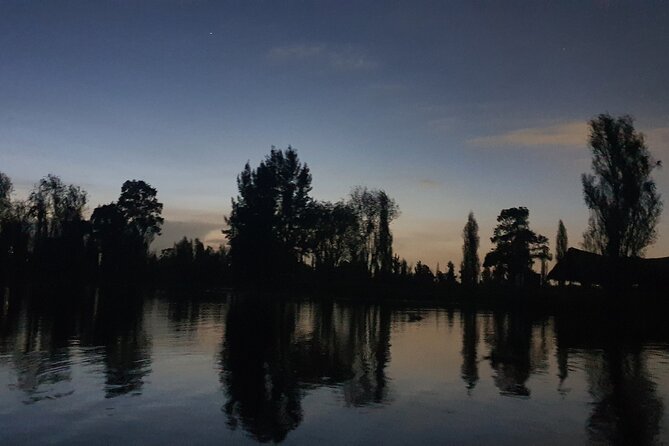 Xochimilco Barco Fiesta Tentacion 18+ with Open Bar and Tacos - Open Bar Reality: What’s Included and How It Changes the Experience