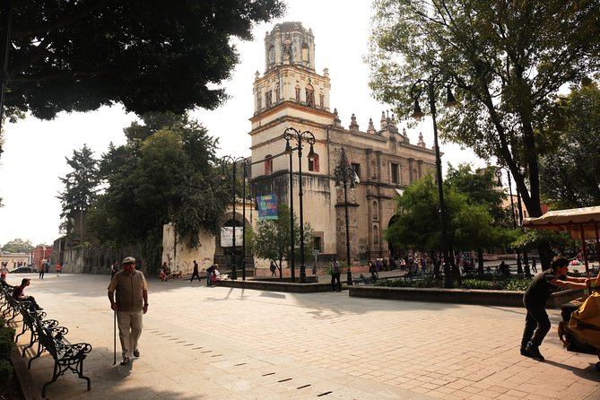 Xochimilco, Coyoacan and Frida Kahlo with Optional Lunch - The best-day version: how to make this tour feel smooth