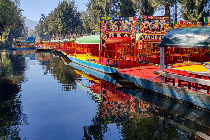 Xochimilco, Coyoacan, Aztec Stadium & UNAM - How this UNAM–Azteca–Xochimilco–Coyoacán day really works