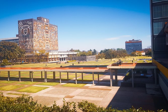 Xochimilco, Coyoacan, Aztec Stadium & UNAM - Should you book this UNAM, Azteca, Xochimilco, and Coyoacán tour?