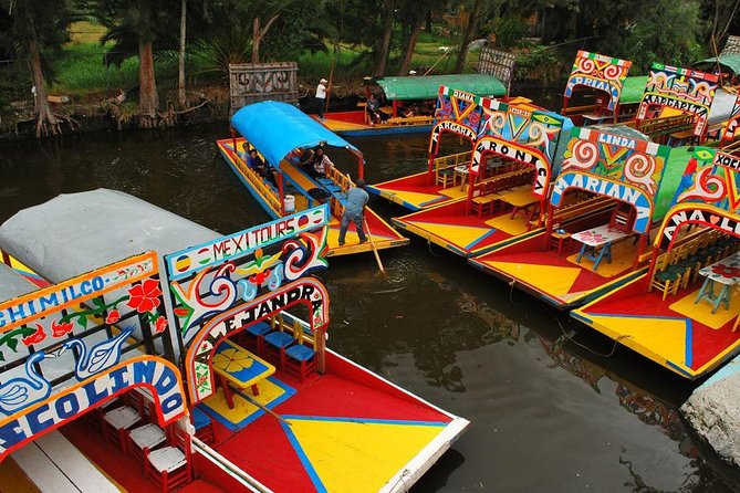 XOCHIMILCO & COYOACAN (Private) - Coyoacán in one hour: Barrio walking, art-city energy, and good food stops